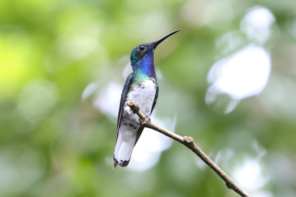 20210810181129 4w1a4612 2