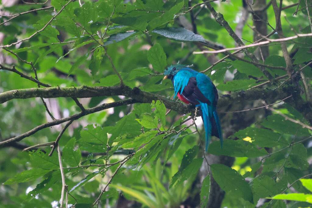 20210815164558 4w1a5801 2