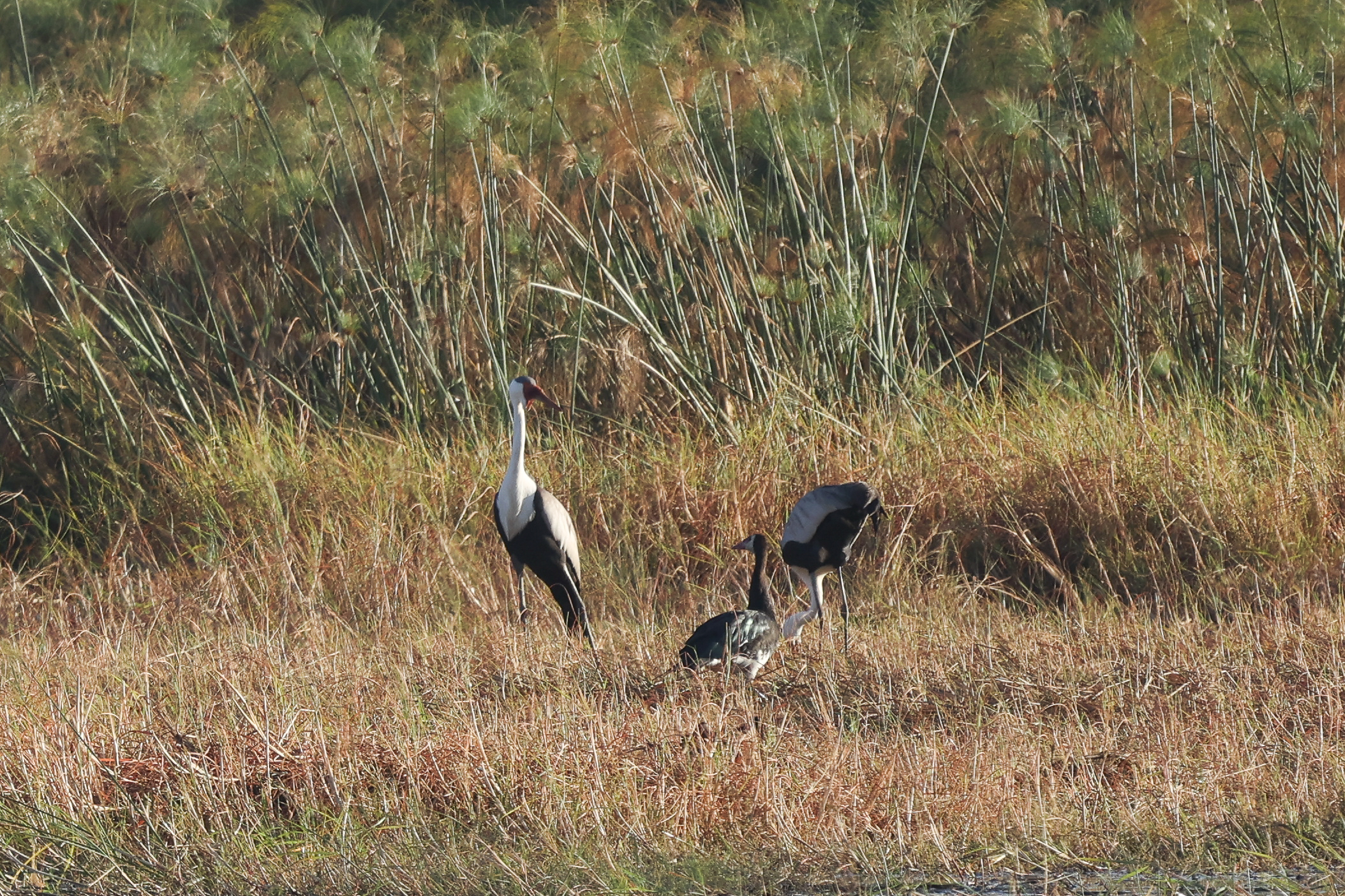 20240625082407 4w1a2956