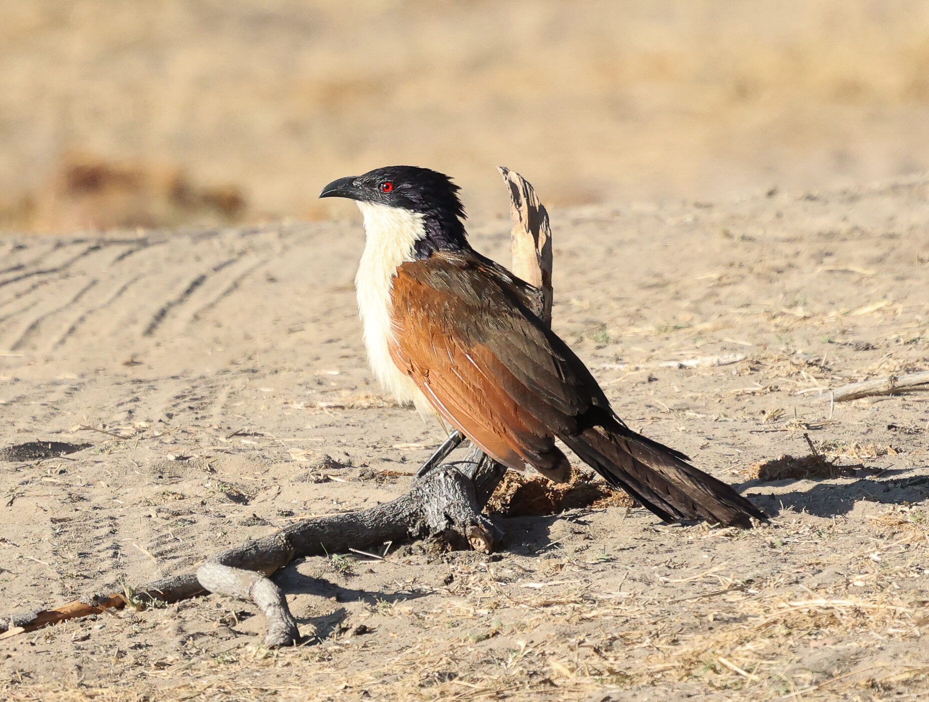 20240625090454 4w1a3041