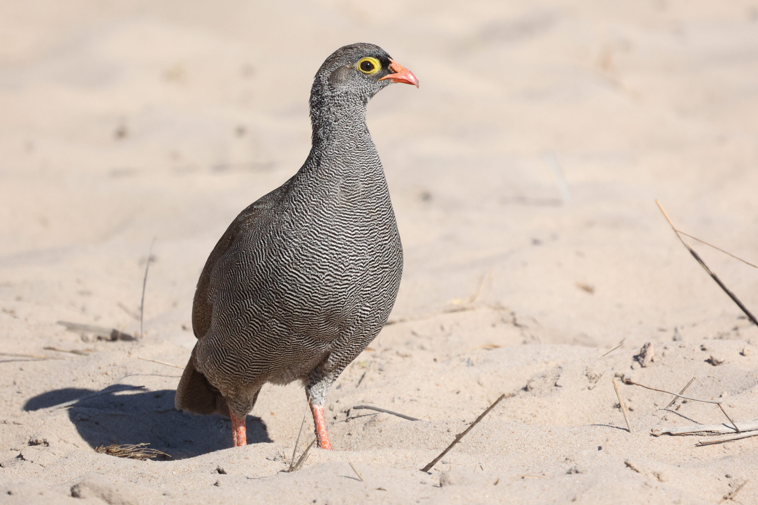 20240625101743 4w1a3137