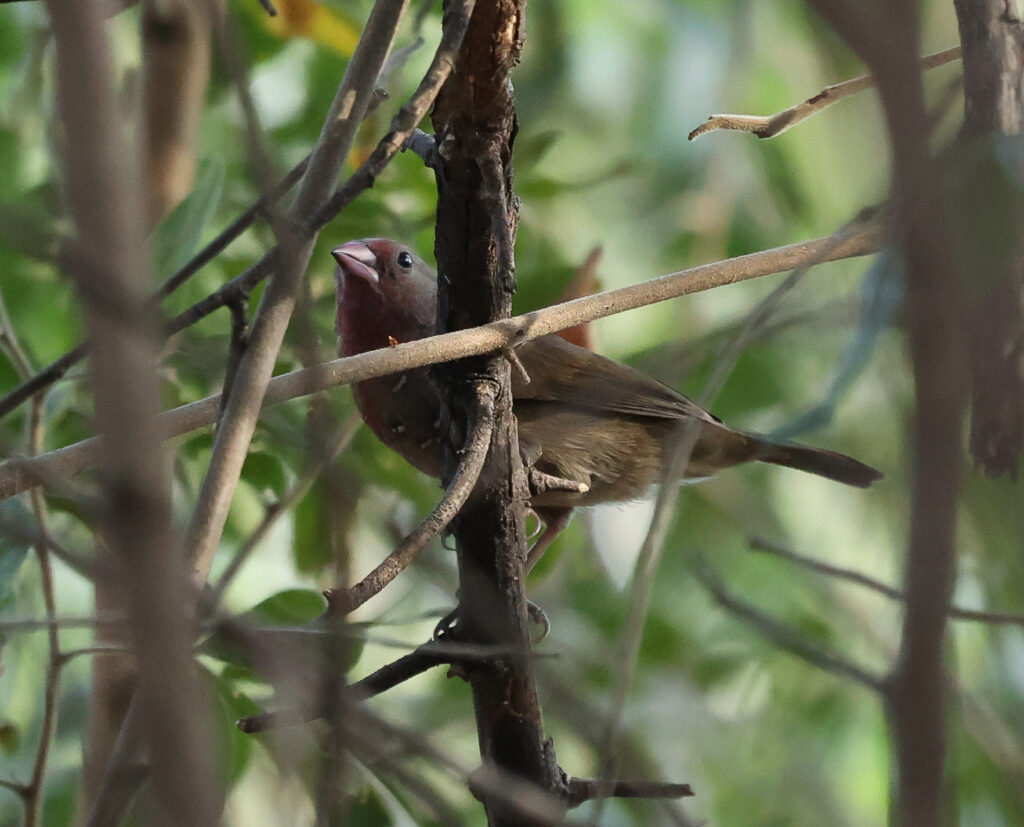 20240625163734 4w1a3249