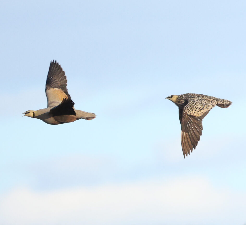 20240626171644 4w1a3818