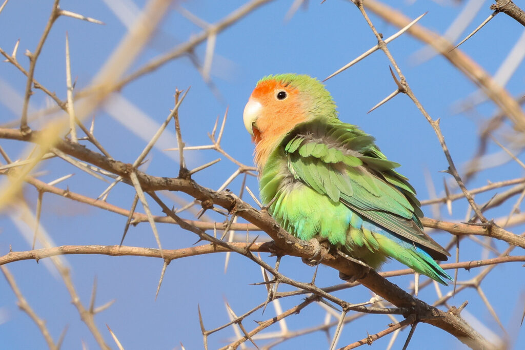 20240701172351 4w1a4927