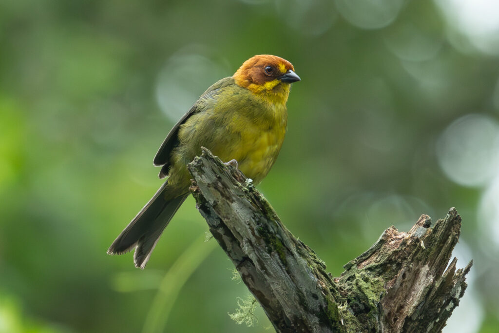 4w1a5735 enhanced nr