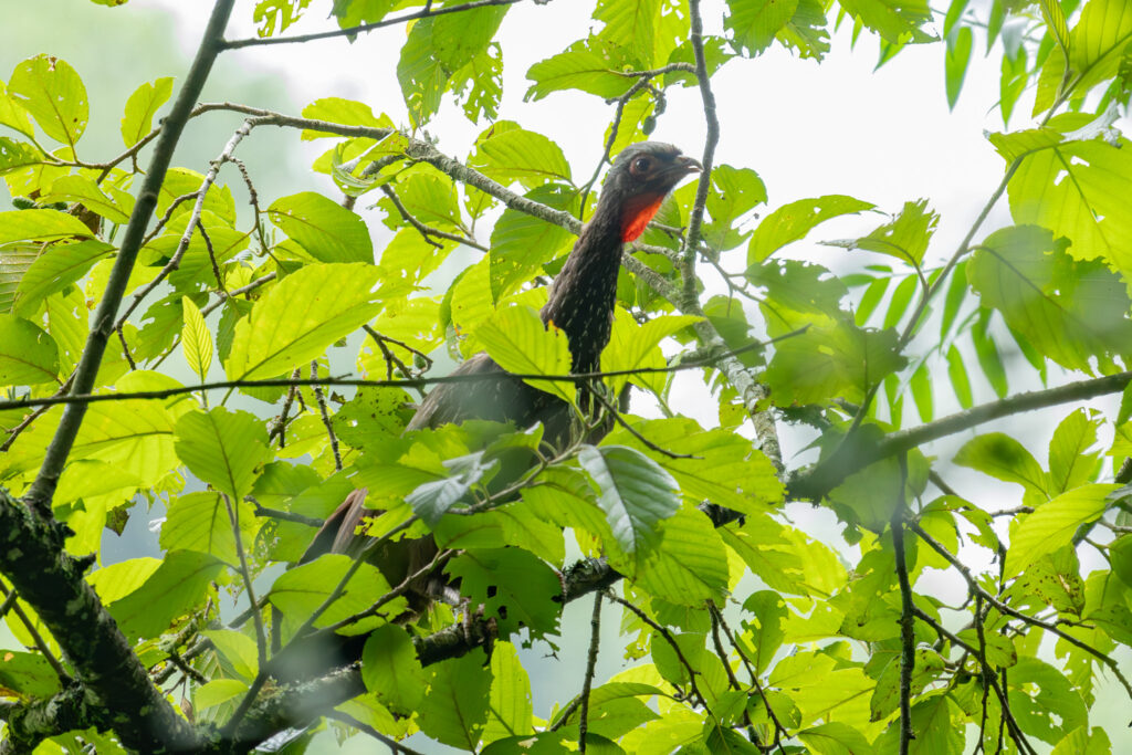 4w1a5772 enhanced nr 3