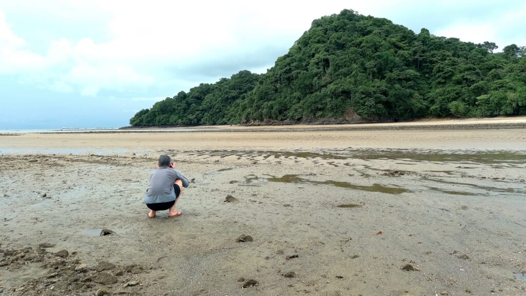 whatsapp image 2024 05 28 at 11.06.33 fdd9409f