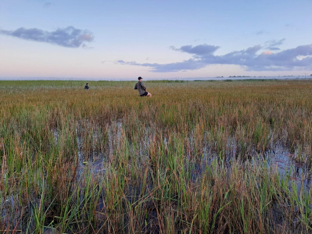 whatsapp image 2024 05 31 at 11.06.04 0fac3af8