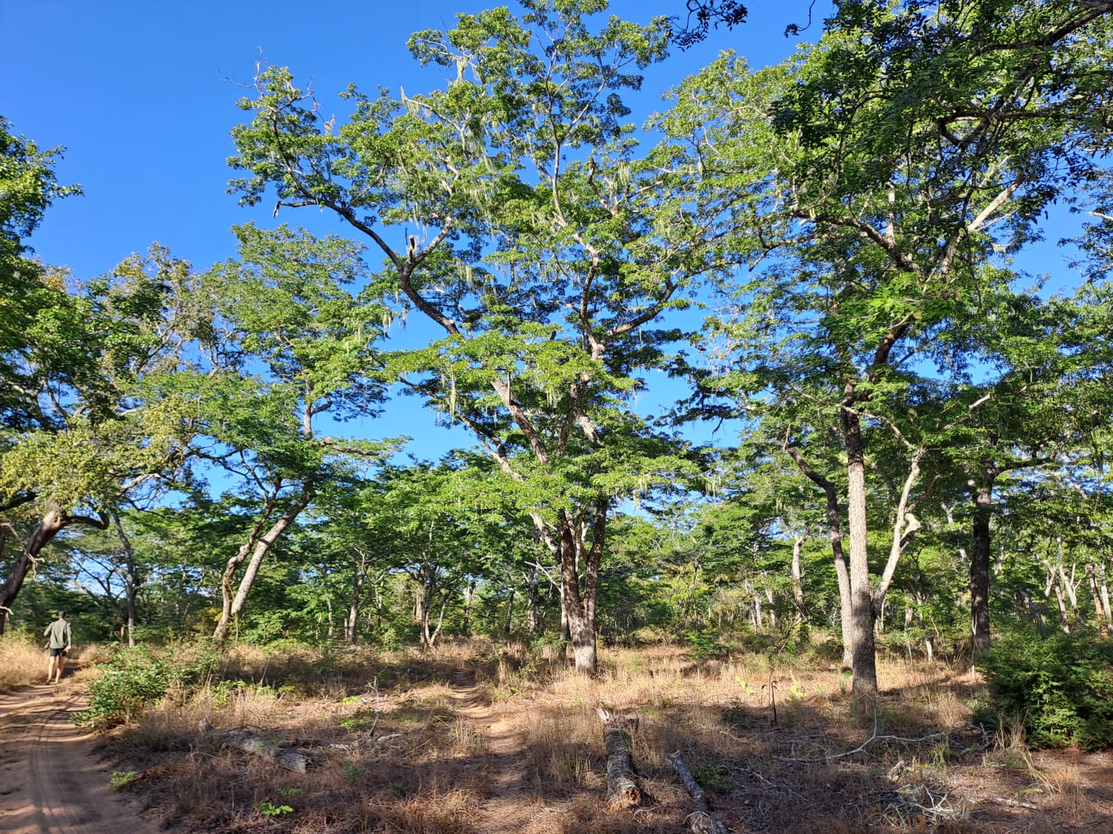 whatsapp image 2024 05 31 at 11.06.04 52eda905