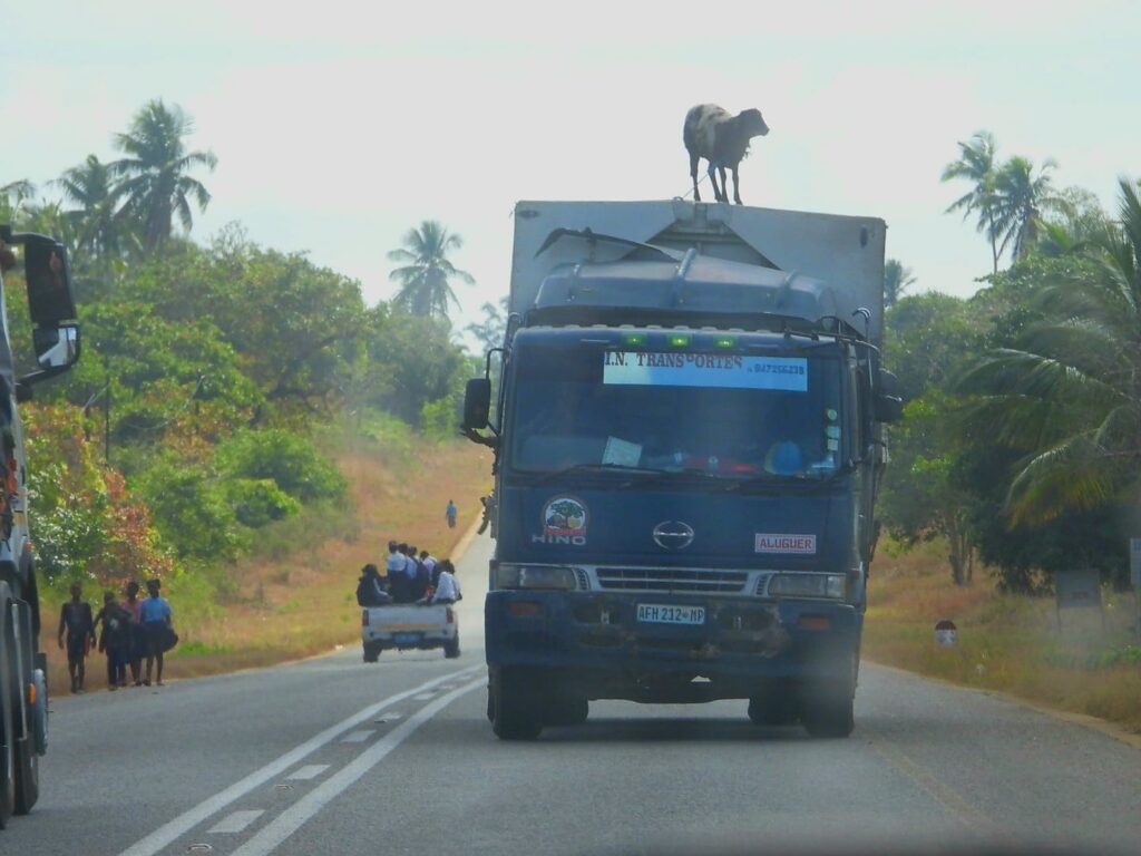 whatsapp image 2024 05 31 at 11.06.05 4fc0e6a5