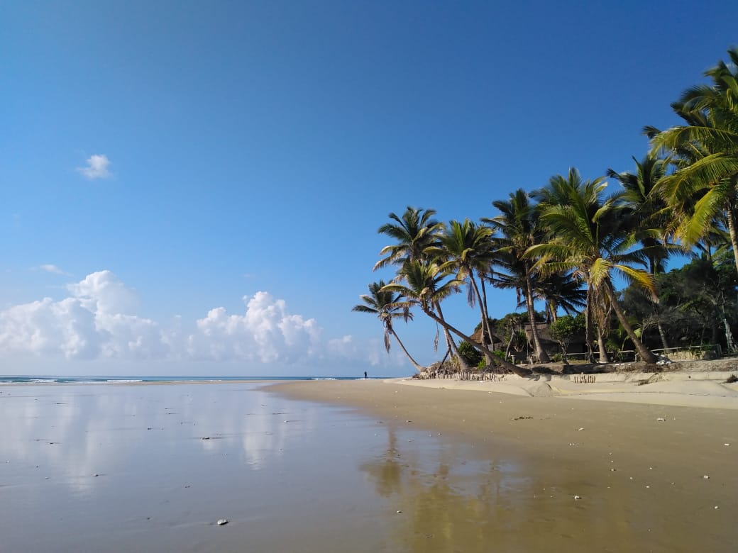 whatsapp image 2024 05 31 at 16.41.34 a7a75f20