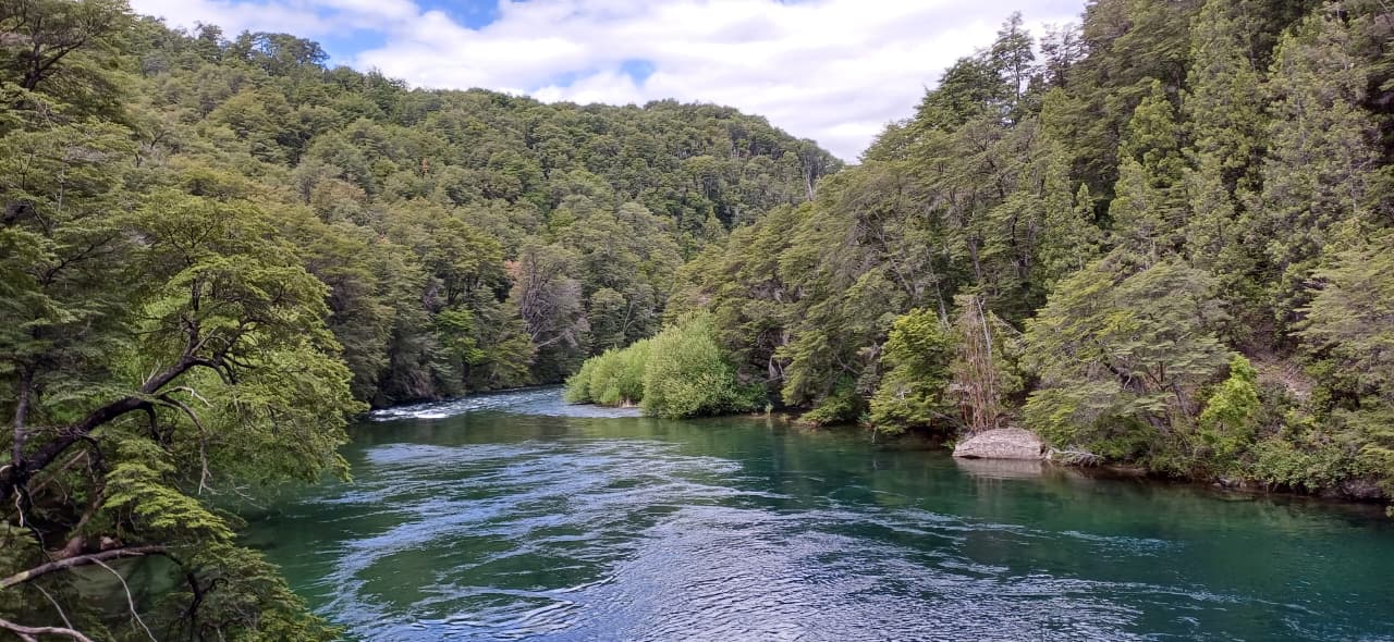 whatsapp image 2025 08 14 at 10.27.37 4eece3f7