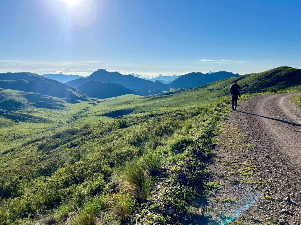 whatsapp image 2025 08 14 at 13.04.18 2d5cd4c3