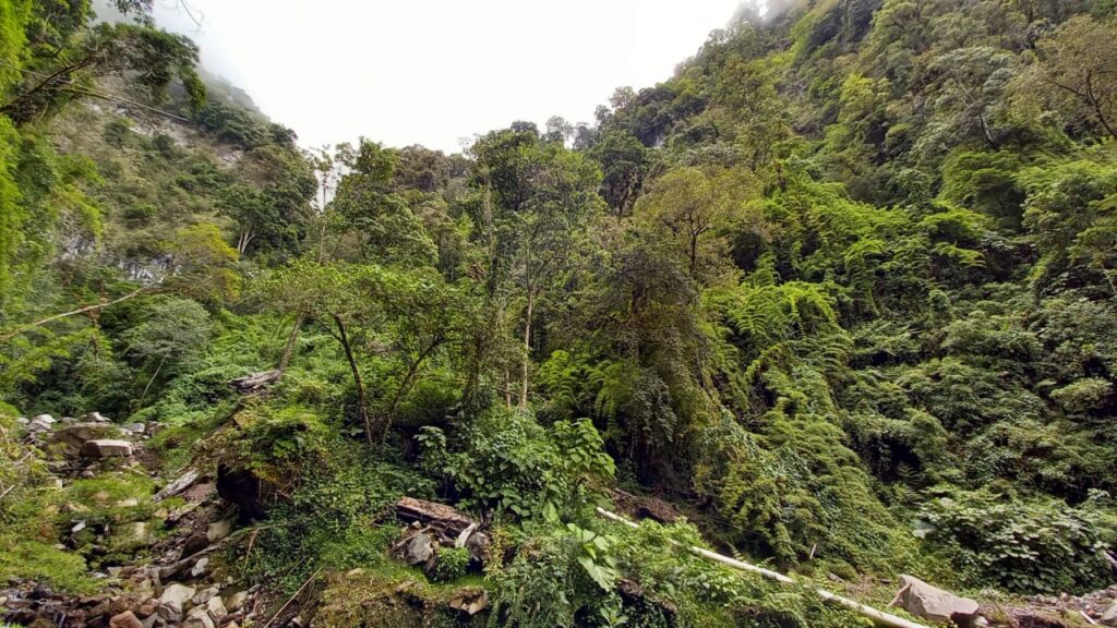 whatsapp image 2025 08 17 at 19.54.06 6a9ede98