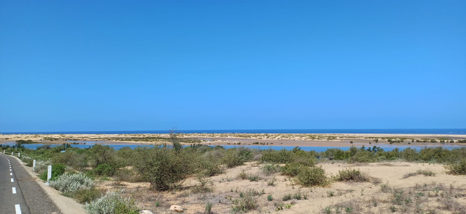 whatsapp image 2025 08 18 at 12.05.05 de800100