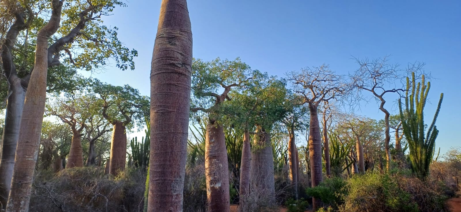 whatsapp image 2025 08 18 at 12.05.06 079df11d