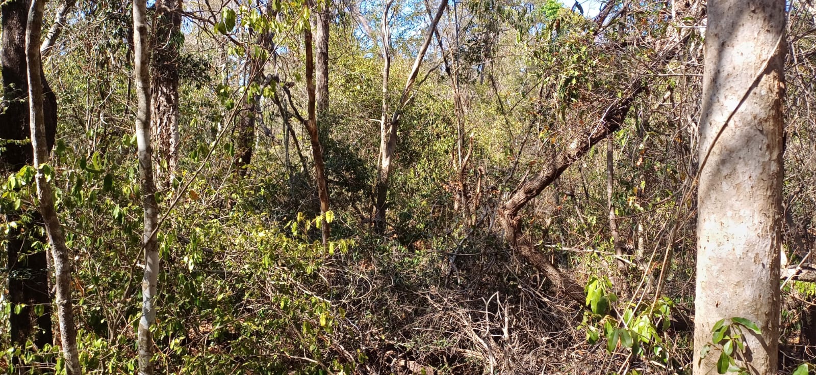 whatsapp image 2025 08 18 at 12.05.06 6713e7cd