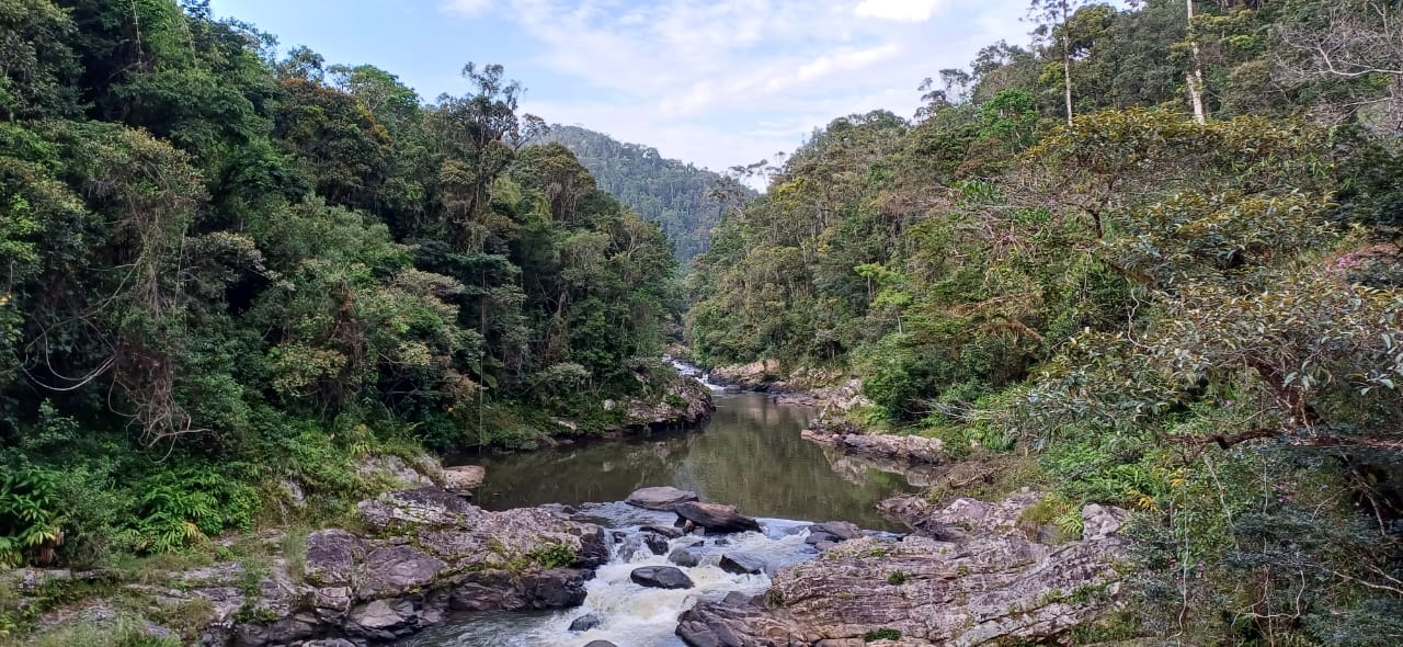 whatsapp image 2025 08 18 at 16.43.55 1de1dc48