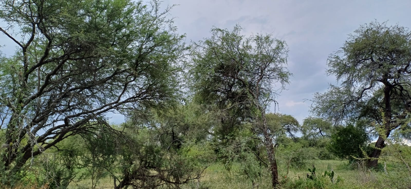 whatsapp image 2025 08 19 at 18.08.19 b5e34944