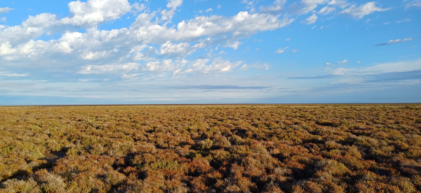 whatsapp image 2025 08 20 at 12.16.17 f86cc947