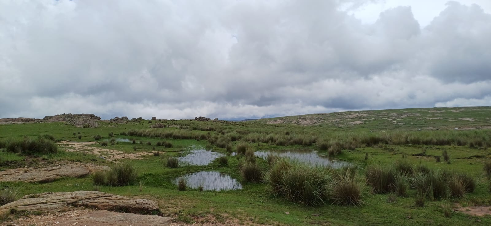 whatsapp image 2025 08 20 at 12.16.19 c1244fdc