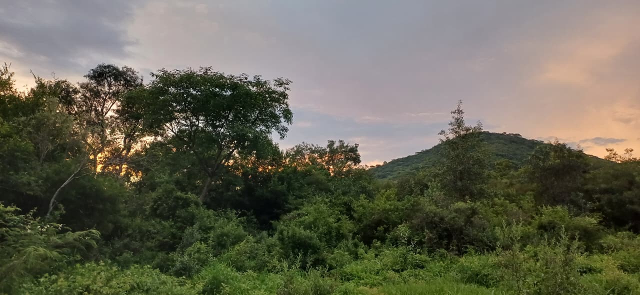 whatsapp image 2025 08 27 at 20.27.12 213b5def