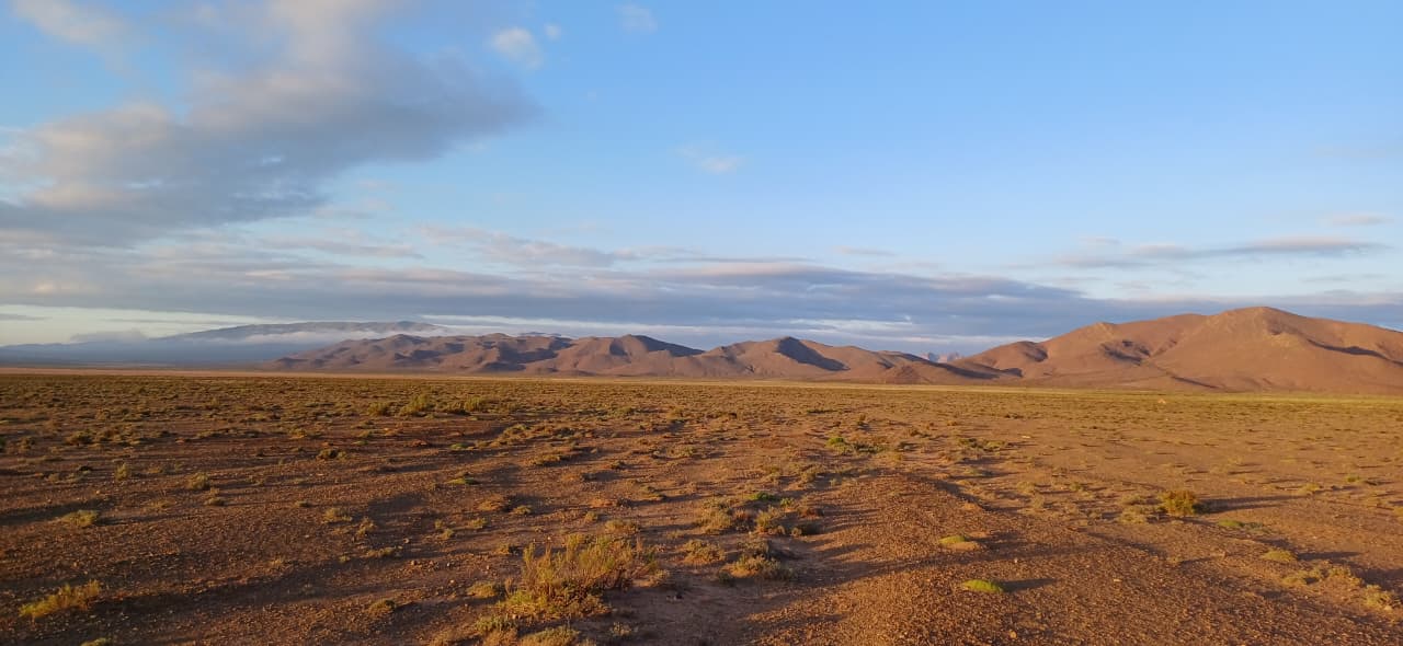 whatsapp image 2025 08 27 at 20.27.15 85a4ef40