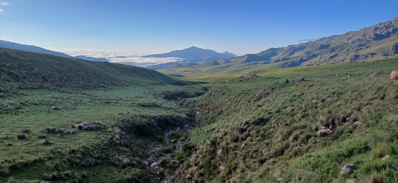 whatsapp image 2025 08 27 at 20.27.25 22800ac0