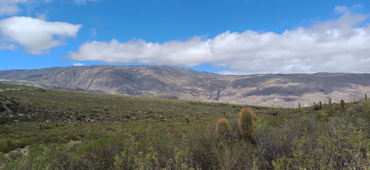 whatsapp image 2025 08 27 at 20.27.25 6e98418c