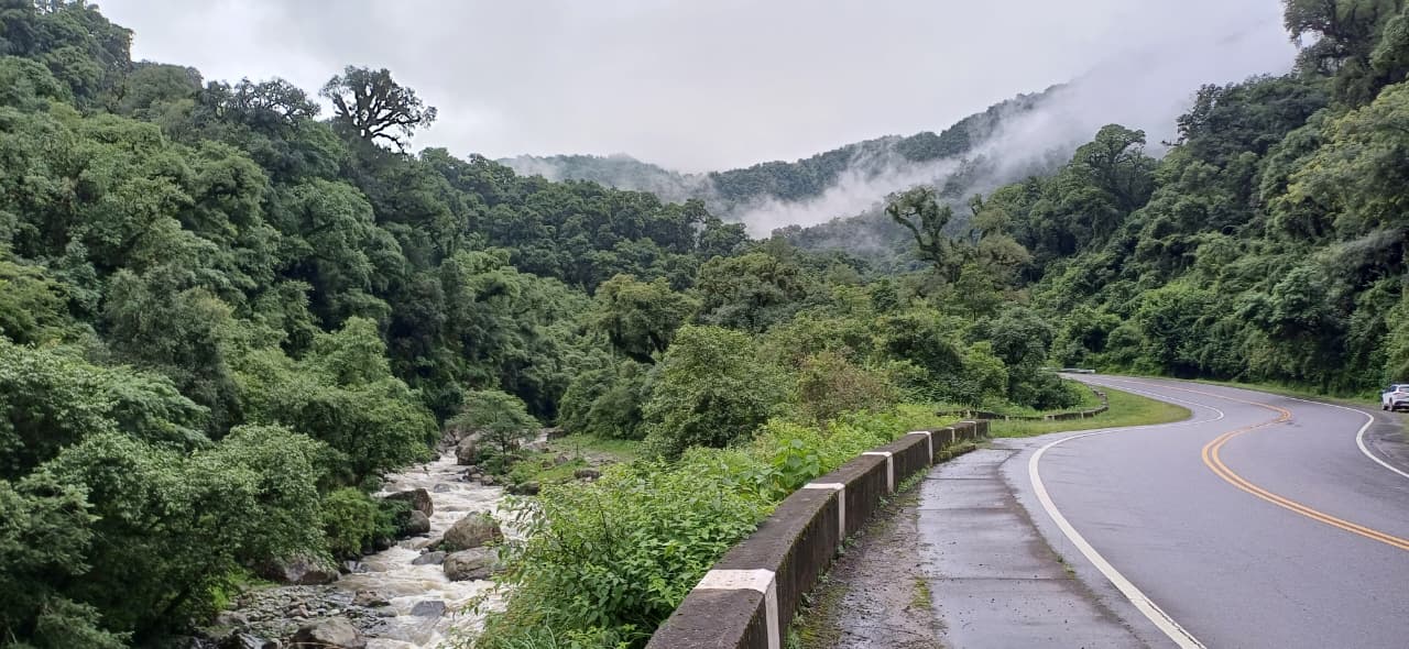 whatsapp image 2025 08 27 at 20.27.26 e4154284