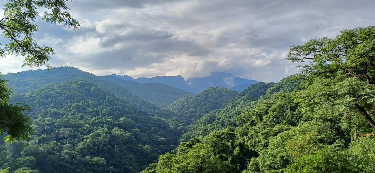 whatsapp image 2025 08 28 at 14.43.32 57c97586