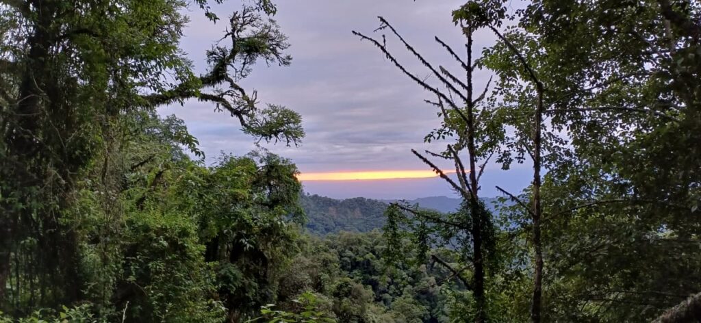 whatsapp image 2025 08 28 at 14.43.39 a2693ab9