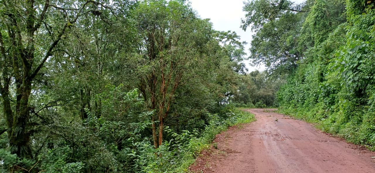 whatsapp image 2025 08 28 at 14.43.39 aa5e1e53