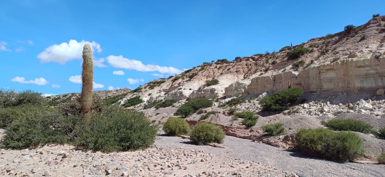 whatsapp image 2025 08 28 at 14.43.43 70f05952