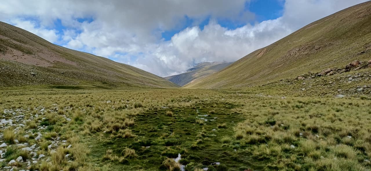 whatsapp image 2025 08 28 at 14.43.43 e6d11aa3