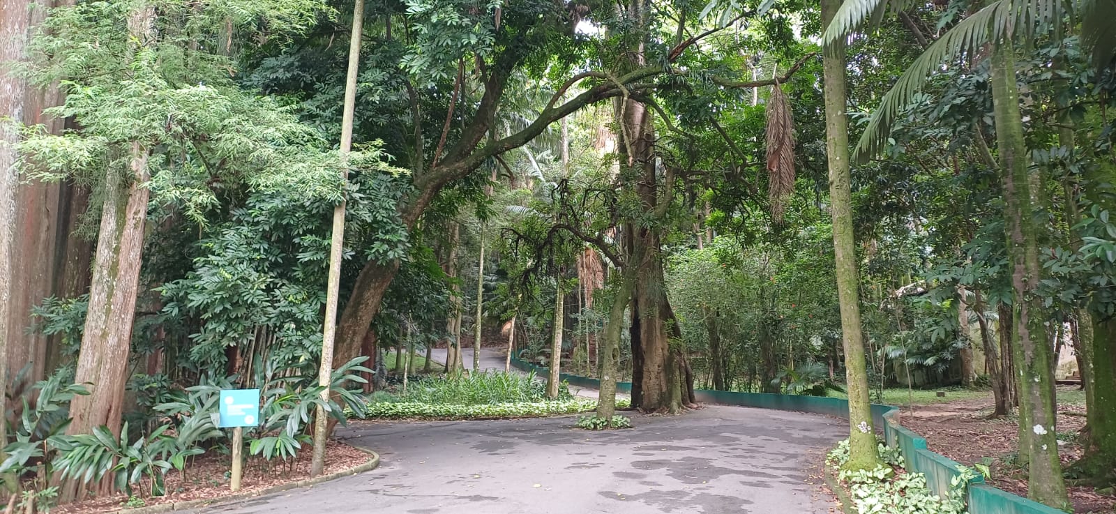 whatsapp image 2025 08 29 at 14.47.53 36895799