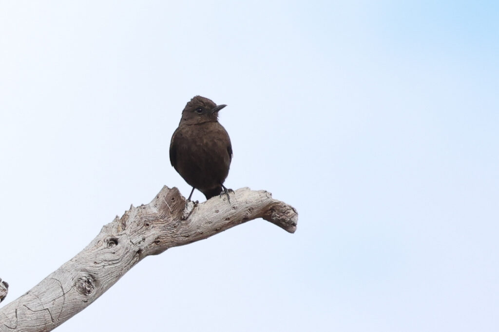 20240628102945 4w1a4045