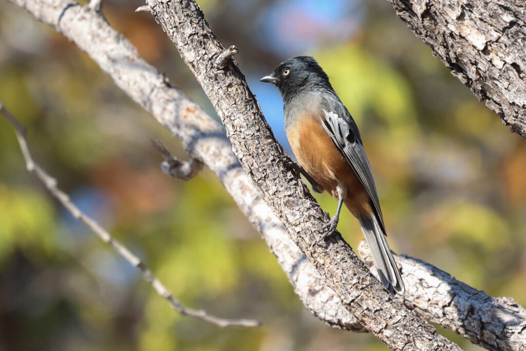 20240630104814 4w1a4522