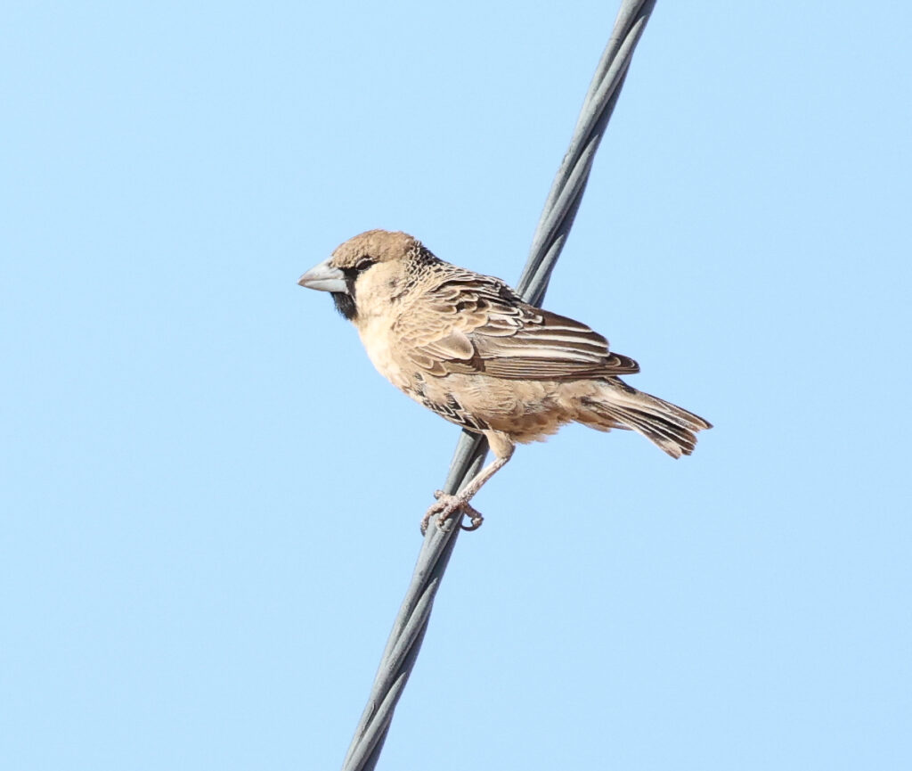 20240702154357 4w1a5066