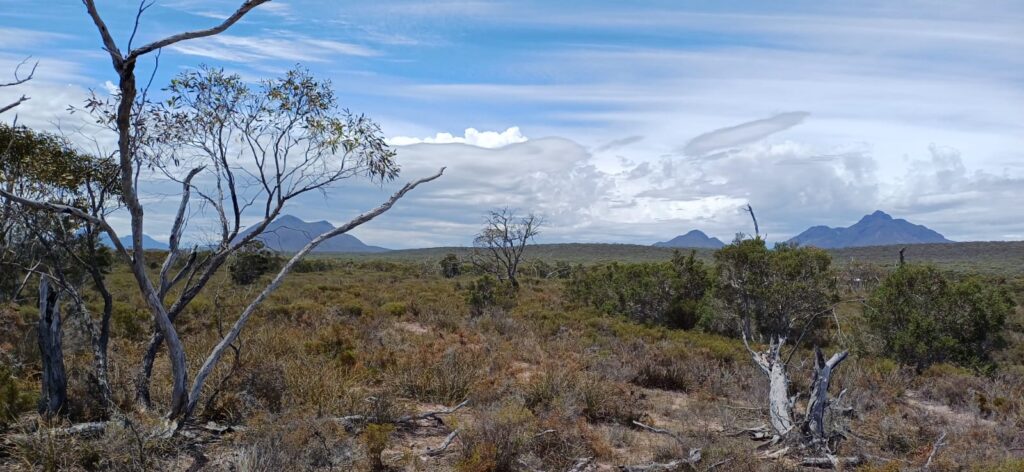 whatsapp image 2025 09 01 at 21.00.39 e6cde740