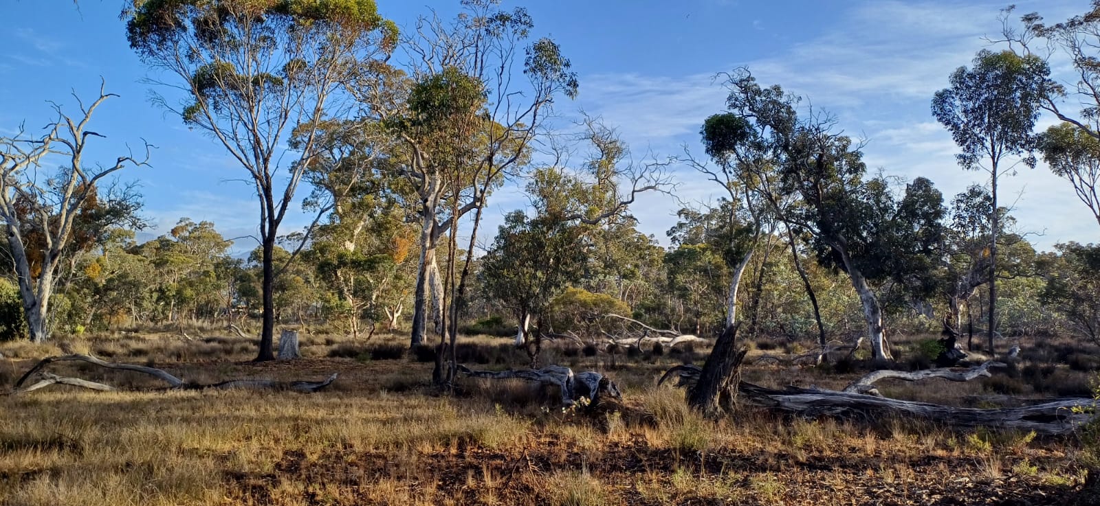 whatsapp image 2025 09 01 at 21.00.39 ec30a5e1