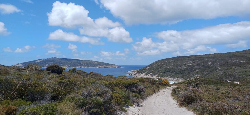 whatsapp image 2025 09 01 at 21.00.40 e22ada5e