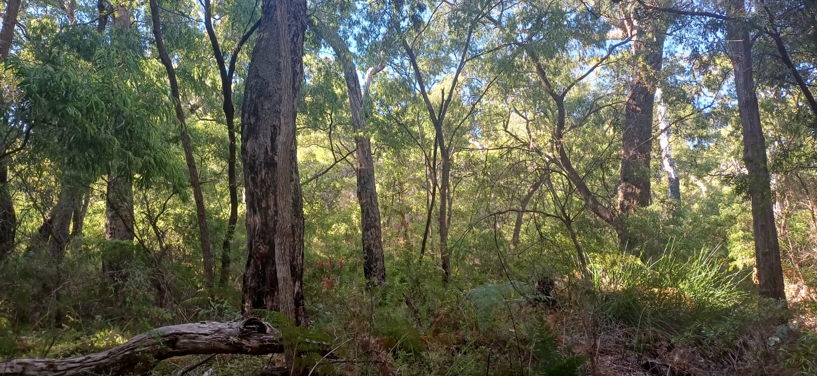 whatsapp image 2025 09 01 at 21.00.42 ce19203f