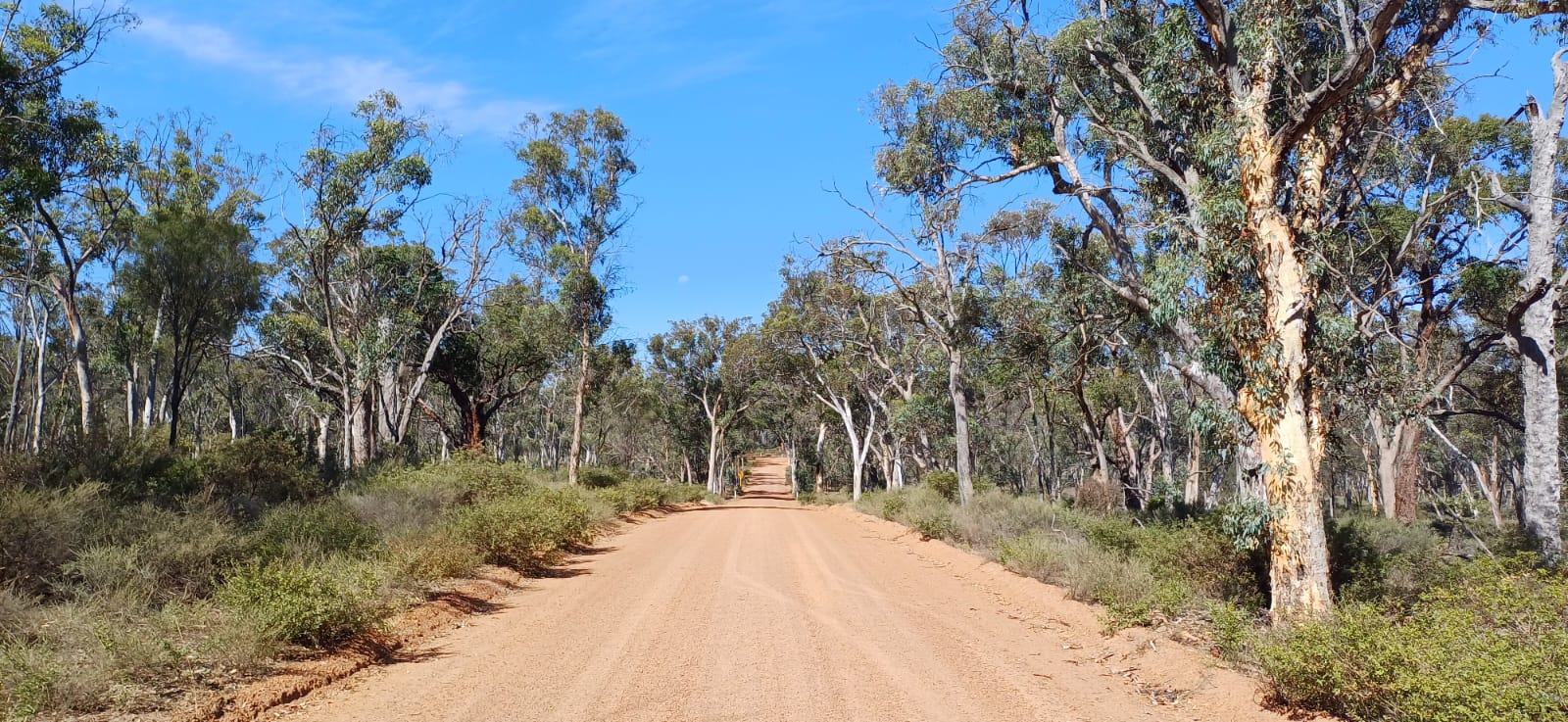 whatsapp image 2025 09 01 at 21.00.43 315448e6