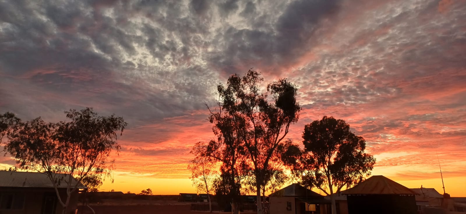 whatsapp image 2025 09 01 at 21.00.46 5c327593