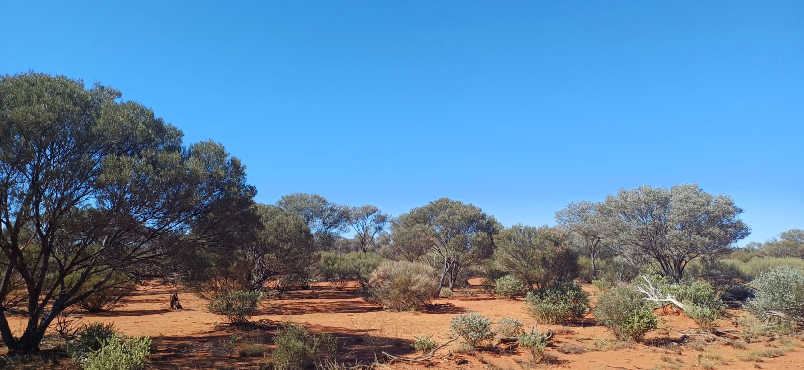 whatsapp image 2025 09 01 at 21.00.49 56a62811