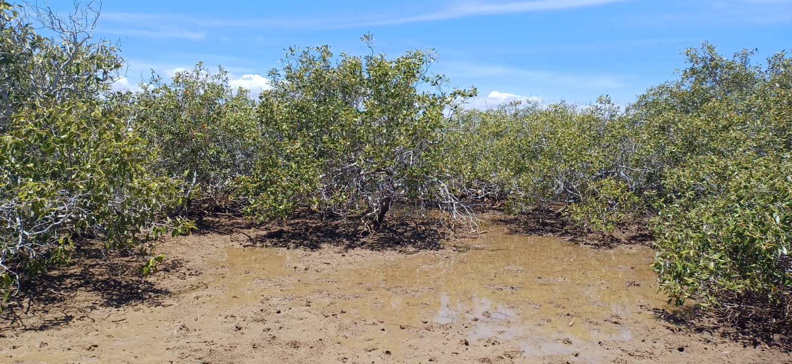 whatsapp image 2025 09 01 at 21.00.52 0fba3123