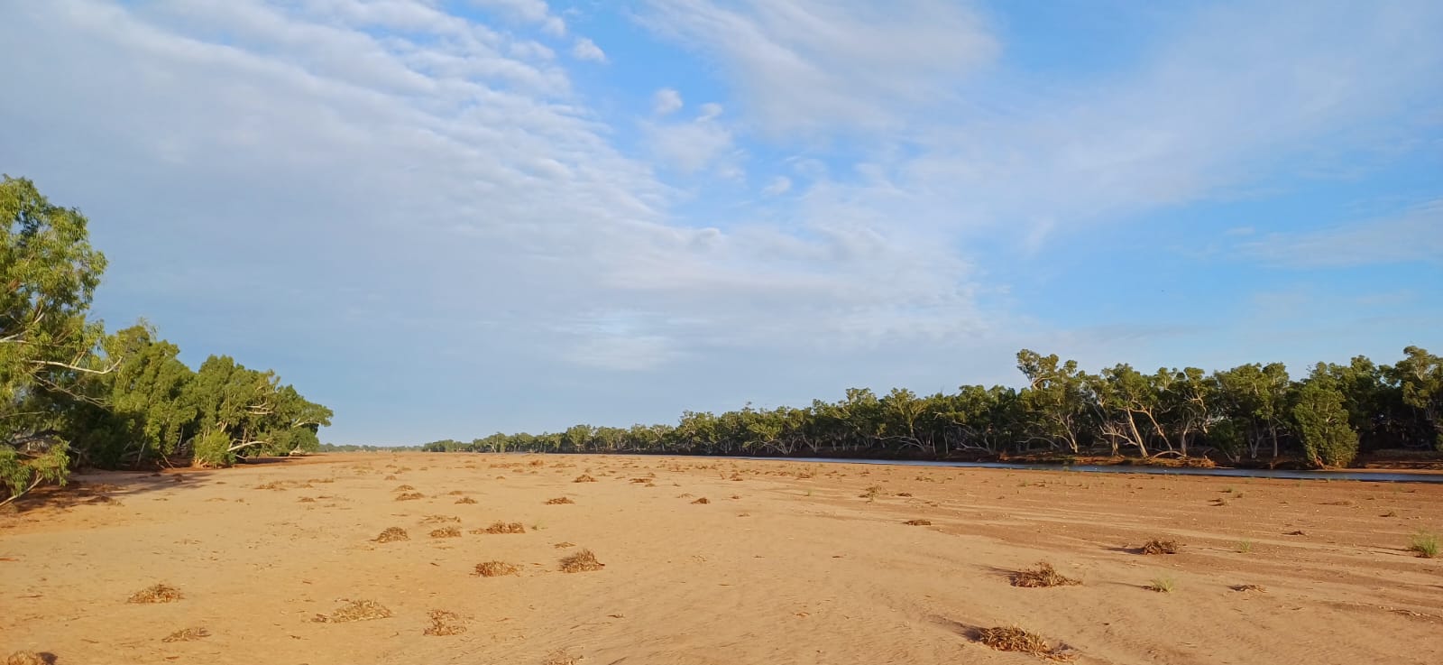 whatsapp image 2025 09 01 at 21.00.55 e587bd01